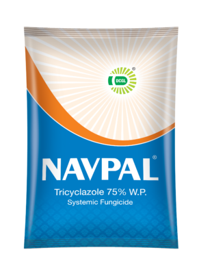 NAVPAL