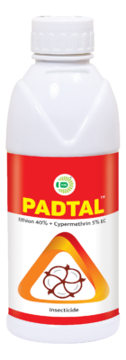 PADTAL