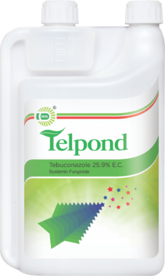 TELPOND