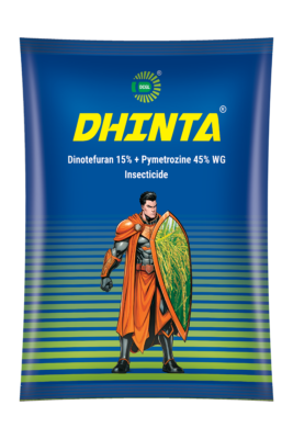 DHINTA