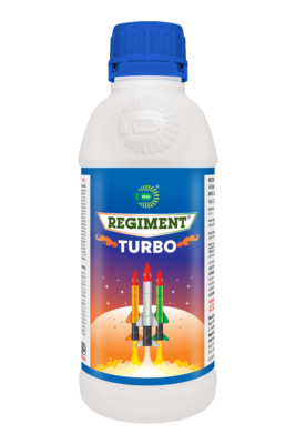 REGIMENT TURBO